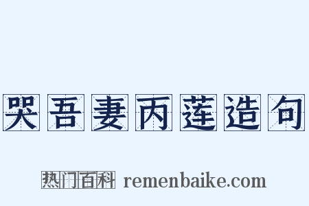 哭吾妻丙莲造句是什么意思的图片